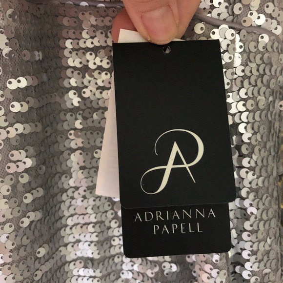 NWT Adrianna Papell Silver Sequin Paillette Gown 4 - Picture 5 of 5